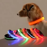LED Pet Collar Light